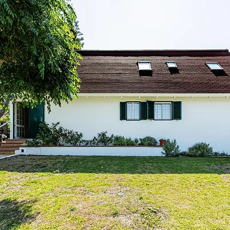 Oliva - Maison 6 וילהמורה